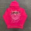 Spider Hoodie Sp5der 55555555 Męski kaptura z kapturem męskiej i damskiej wysokiej jakości aniołów Anioła Number Puff do nadruku bluzy Pająk Bluza drzwi jasnoniebieski zielony