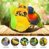 Autres fournitures pour oiseaux Cage de boîte de nourriture pour perroquet | Bol d'alimentation pour oiseaux en forme de maïs, tasse anti-éclaboussures pour la plupart