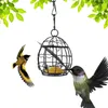 Other Bird Supplies Metal Wild Hummingbird Feeders For Outdoors Hanging Iron Caged Feeder Parrot Parakeets Garden Lawn Window Accessories