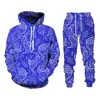 Tracksuits masculinos colorido paisley gráfico homens / mulheres conjunto de treino caju floral impressão com capuz calças terno hip hop casal streetwear jogging