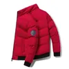 Herren-Daunenparkas, vielseitige Baumwolle, warme Jacke, koreanische Modeversion, Winter und gutaussehend 230928