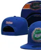 2023 Tous les fans de l'équipe USA College Baseball Chapeau Gator réglable sur le mélange de terrain Taille de commande Fermée Flat Bill Base Ball Snapback Caps Bone Chapeau a