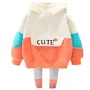 Clothing Sets Girls Clothes Spring Autumn Baby Kids Clothing Sets Hooded Casual T Shirt Pants Toddler Infant Tracksuit Children Outfits 231005