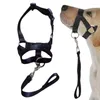 Coleiras para cães focinho anti-mordida com alças ajustáveis suporte de treinamento protetor bucal durável evita latidos mordendo e