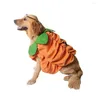 Costumes de chat Costume de citrouille pour animaux de compagnie doux Orange robe de Cosplay confortable avec chapeau en velours côtelé Halloween