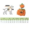 Costumes de chat Costume de citrouille pour animaux de compagnie doux Orange robe de Cosplay confortable avec chapeau en velours côtelé Halloween