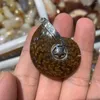 Colliers pendentifs en pierre d'ammonite, collier de pierres précieuses naturelles, pendentifs pour hommes et femmes, cadeau, vente en gros!