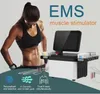 Trusculpt Flex Ems Mds Technology Body Contouring Fat Burning Weight Loss Instrument With 16 Hand-Free Treatment Handles