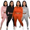 Women's Two Piece Pants Casual Sweatsuit Sets Womens Outfits Long Sleeve Pocket Zip Crop Top And Sweatpants Matching Tracksuit Streetwear
