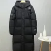 Erkekler Tasarımcı Northe Face Puffer Ceket Kadın Hoodie Down Parka Kış Ceketleri Sıcak Açık Nakış Mektubu fermuar Katlar Üst Sokak Giyim Giysileri