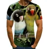 Heren T-shirts Zomerstijl 3D-printen Vogels en Dames Casual T-shirt Modetrend Jonge knappe top