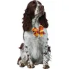 Hundebekleidung, kleine Feiertags-Fliege, Halloween-Zubehör, Halsbänder, Krawatte, Totenkopf-Kürbis-Pflegezubehör 230928