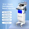 2024 10 In 1 All Round Hydro Skin Treatment Comprehensive Skin Management Tender Beauty Apparatus Deep Cleaning Skin Instrument