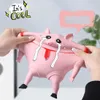 Decompression Toy Funny Pig Decompression Squeeze Toy Slow Rebound TPR Piggy Doll Stress Relief Toys Kids Interesting Gifts For Toddlers 230928