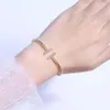 Tiffan armband Designer Dames Originele Kwaliteit Bedelarmbanden dubbele titanium stalen armband gegalvaniseerde armband