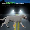 Vêtements pour chiens 2 pièces couvre-pied fluorescent pour grands chiens marchant la nuit garde-poignet respirant fournitures Golden Retriever