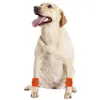 Vêtements pour chiens 2 pièces couvre-pied fluorescent pour grands chiens marchant la nuit garde-poignet respirant fournitures Golden Retriever