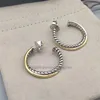 jewelry luxury Silver earrings woman free earring fashion Earrings bijoux Sterling designer with 18k shipping Gold Plated 2NFX