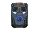 8 -calowy Caixa de Som Bluetooth Przenośne skrzynie dźwiękowe mocne bezprzewodowe drewniane głośnik wielki impreza Karaoke RGB Suboofer z mikrofonem z mikrofonem
