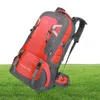 40L 60L Outdoor Ryggsäckar Camping Climbing Bag hörlurar Hål bergsklättring Vandring Kvinnor Män Oxford stor kapacitet Sport ruck7936984