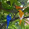 Trädgårdsdekorationer gåva utomhus inomhus dekoration träd prydnad livlig papegoja staty djur skulptur fågel figurer vägg monterad