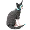 Cat Costumes Hairless Sweater Sphinx Clothes Four-legged Clothing Soft Fall Winter Kitten Outfits For Cats