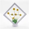 Ghirlande di fiori decorativi Cornice eterna Po Bouquet di fiori secchi Decorazione Fabbrica Capelli Pe Film Sospensione Display Box Decorazioni per la casa Regalo Dhost