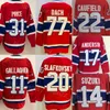 Reverse Retro Hockey 11 Brendan Gallagher Jerseys Man 31 Carey Price 20 Juraj Slafkovsky 77 Kirby Dach 14 Nick Suzuki 17 Josh Anderson 22 Cole Caufield Sport Stitched