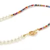 Chaînes collier de perles pour femmes perles de riz colorées colliers ras du cou Boho bijoux accessoires mode sur le cou cadeau