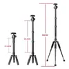 Stativ Xiletu FM5S Portable Tripode Lightweight Travel Stand TABLEBED Video Mini Stativ med 360 graders bollhuvud för kamera DSLR SLR 231006