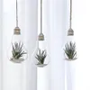 Storage Bottles & Jars 24 X D8 13cm Hanging Terrarium Flower Plant Glass Vase Light Bulb Shape Home Wedding Decor269q