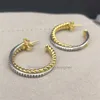 مجوهرات الفضة الفضية أقراط امرأة حرة القرط الأزياء أقراط Bijoux Sterling مصمم مع 18K شحن الذهب 2nfx