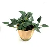 Ghirlande di fiori decorativi Simation Fiore Foglie di edera finta Moneta di rame artificiale Erba Pianta verde Piante bonsai da tavolo Home Office Dh5Vb