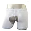 Cuecas masculinas nádegas transparentes boxers masculino calcinha cueca gaze calças zjh0605p