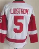 Homem Vintage Hóquei 4 Gordie Howe Jersey Retro Clássico 1 Terry Sawchuk 7 Ted Lindsay 5 Nicklas Lidstrom 9 Gordie Howe 10 Alex Delvecchio CCM 75º Aniversário Stitch