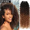 Lace Wigs Spark 134 Bundles Afro Kinky Curly Human Hair Ombre Brazilian 100% Weave Blonde Brown Black Remy 231006