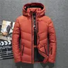 Parkas masculinas Tace Shark marca casaco de inverno masculino chapéu casual destacável jaqueta de pato branco para homens corta-vento quente doudoune hiver homme 231005