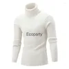 Herensweaters Herfst Winter Coltrui Mode Zwart Breien Truien Rollneck Gebreid Warm Casual Dieptepunt Shirt