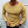 Men's Sweaters Men Casual Ripped Autumn Round Neck Tops Thin Long Sleeve Knitwear 2024 Yellow Streetwear Loose Male Pullovers