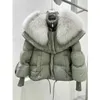 Kadın Kürk Sahte Kürk Kürk Kürk Yastığı Aşağı Ceket Kürk Aşağı Ceket Fe Kısa Kış Palto 2023 Yeni Ekmek Giyim Kadınlar Kış Parkasl231007
