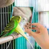 Otros suministros para pájaros 12 PCS Parrot Masticar juguetes de frutas Accesorios de forraje Jaula Loros Bite Treats