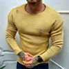 Men's Sweaters Men Casual Ripped Autumn Round Neck Tops Thin Long Sleeve Knitwear 2024 Yellow Streetwear Loose Male Pullovers