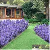 Ghirlande di fiori decorativi 32 cm Fiore artificiale floccaggio Lavanda Pianta esterna finta Giardino domestico Decorazione ristorante Consegna goccia Dhg85