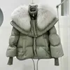 Kadın Kürk Sahte Kürk Kürk Kürk Yastığı Aşağı Ceket Kürk Aşağı Ceket Fe Kısa Kış Palto 2023 Yeni Ekmek Giyim Kadınlar Kış Parkasl231007