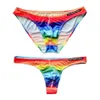 2pcs Lot Mini Briefs Mens Thong Swimwear Super Sexy Gay Swim Underwear Tanga Pouch Bikini Swimsuit T-back Panties Desmiit Trunks M241V