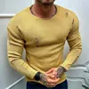 Men's Sweaters Men Casual Ripped Autumn Round Neck Tops Thin Long Sleeve Knitwear 2024 Yellow Streetwear Loose Male Pullovers