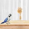 Autres fournitures d'oiseaux Perroquet suspendu jouet en bois calopsitte à mâcher mordant