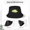 Baretten Kleine Dino Triceratops Dinosaurus Illustratie Emmer Hoeden Panamahoed Kinderen Bob Outdoor Visser Vissen Unisex Cap