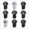 Jersey personalizzata Uomo donna Gioventù 72 Carlton Fisk 60 Keuchel 35 Frank Thomas 40 Reynaldo Lopez Jace Jose 79 Abreu Fry Dylan Cease Maglie da baseball