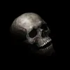 테마 의상 할로윈 마스크 파이 두개골 마스크 3D 무서운 할로윈 마스크를 움직이는 J White Human Skeleton Mask Men Halloweenl231005